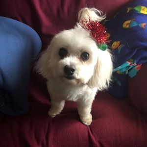 Meet your Posher, Janel